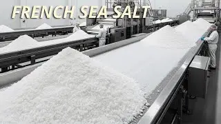 Inside a French Salt Factory | Fleur de Sel &ndash; From Sea to Crystal (ASMR)