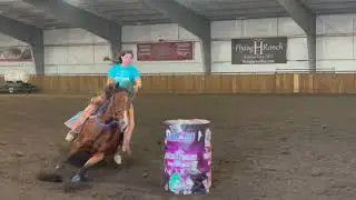 KnocKnock Roos There:  Big Blowout Race at Flying H Ranch