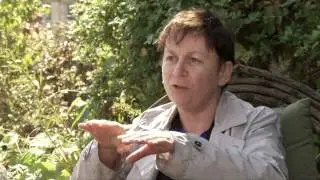 Irish Writers In America - Anne Enright - society changes