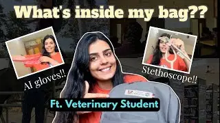 What’s inside a Veterinary Student’s bag? Veterinary Hospital Essentials | Ft. Deepika