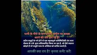 #SaveOurOceans  #StopOceanPollution #ProtectMarineLife               #earthpulse