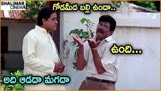 AVS & Tanikella Bharani Excellent Comedy Scene | Back 2 Back Comedy Scenes | Hilarious Comedy Scenes