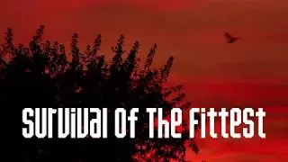 Survival Of The Fittest (Official Video)