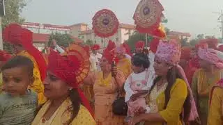 Sai Baba's Palki 🎺🥁💐 साई परिवार अंबाला 🙏