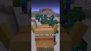 camels are way better than you think