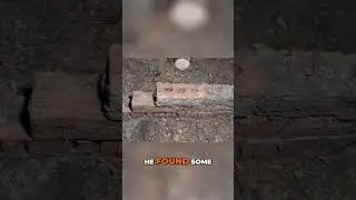 Bushcraft Fire Survival🔥Najlepszy mikroklimat do schronienia