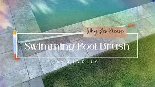 BUYPLUS Pool Brush Review