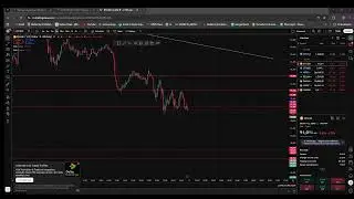 The Trade Officer Live Stream
