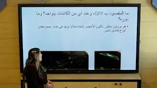الثامن - علوم - شعبة معائيات الجوف / اللاسعات