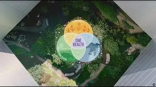 The One Health Microbiome Center: Season of Giving