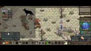 FunZero: Динго