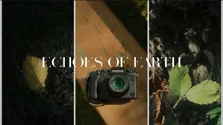 FUJIFILM JPEG Recipes Woodland Walk with XF18-55mm | DNA Repair 528 Hz | X-H2S X-T5 X100VI X-M5 X-E5
