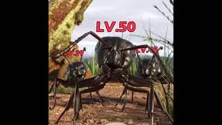 LL024
