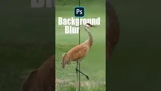How to Blur Background Realistically in Photoshop | Depth of Field & Tilt-Shift Blur Tutorial