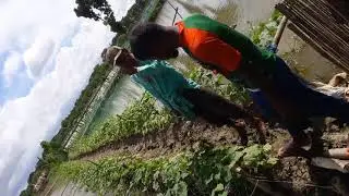 Polder 2   Meet the farmer from Beula village became a millionaire by cultivating fish and vegetable
