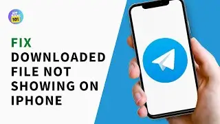 How to Fix Telegram Downloaded File Not Showing on iPhone