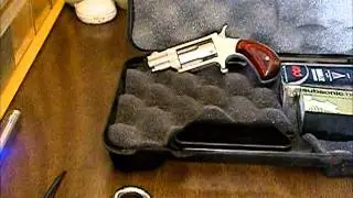 New bug out bag back up gun  22 lr mag naa mini revolver