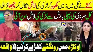 زمین سے کیا نکل آیا