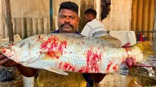 KASIMEDU SPEED SELVAM ORIGINAL KODUVA FISH 🐟 CUTTING VIDEO \ CUTTING FOCUS