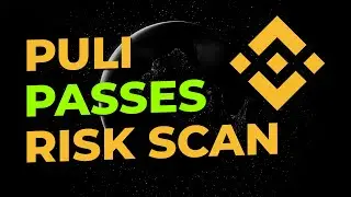 PULI Passes Binance's Risk Scanner Tool! $PULI Blue-Chip Category On RadioShack DEX! BSC / P2E News
