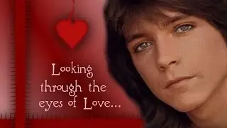 🔴 David Cassidy... Damned If This Ain't Love !!!