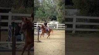 #horse