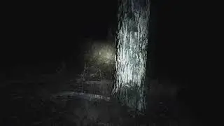 THIS BLAIR WITCH PROJECT P3 INTO MADNESS