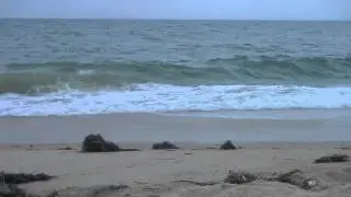 Ocean Waves @ Duck, NC (30 Min)