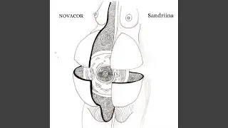 Novacor