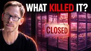 What Killed Vertical Farming?