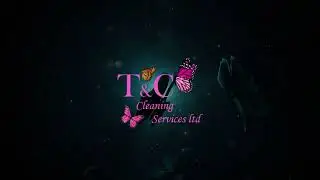 Logo Intro - Cleaning Company