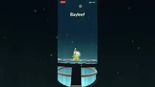 Pok&eacute;mon go evolution #lairon #aggron #purification #power up  #chikorita # Bayleef # Meganium