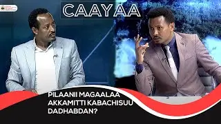 Caayaa,   Waajjirri Olaanaan tajaajilaa konkolaataa keessa ta'e, M/ Adaamaa kutaa Magaalaa Boolee