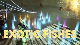 Week 1-3 Exotic Fishes | Destiny 2 Season of the Deep