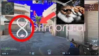 Legit-Cheating in CS2 (with a lil semi-raging) ft. primordial.dev