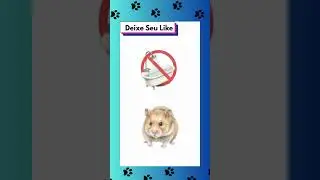 🐹🚿 Pode dar banho em hamster? Descubra a forma correta de higiene #shortvideo