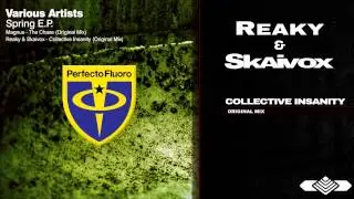 Reaky & Skaivox - Collective Insanity (Original Mix)