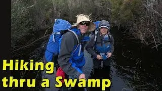 Baddest Bush Ever - Beach Hike & Crossing Chinaman Swamp