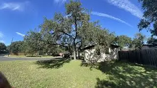 Good Morning Tree Service - Austin TX 78748 - time lapse front yard