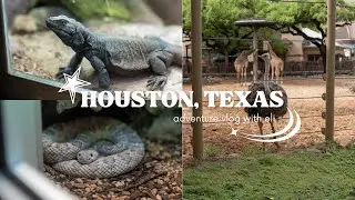 EVERYTHING IS BIGGER IN TEXAS! | HOUSTON ZOO & AQUARIUM VLOG