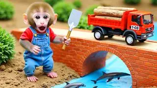 Monkey Nana drives a tractor and the Journey of Building a birdhouse after a tornado