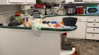 Real time clean with me day 315 (cleaning kitchen started, some cuts) 