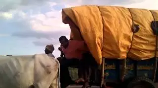Indian Bullock cart movable tents