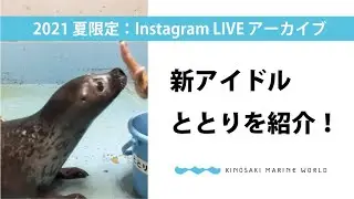 夏ライブ：新アイドルの”ととり”を紹介！