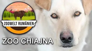 Zoo Chiajna - Ein fast geschlossener Zoo - Zoowelt Rum&auml;nien