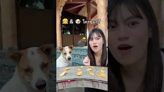 Is it a person or a dog commenting?