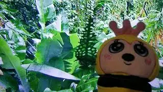 Plant Challenge #plantchallenge