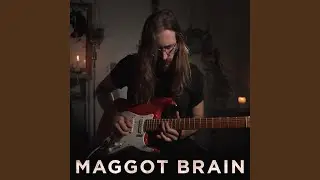 Maggot Brain Cover