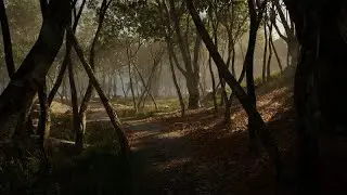 (Unreal Engine free Project) Leaf Tree Forest Biome || Environment Package Download Free