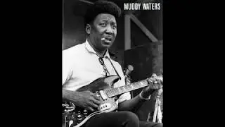 MUDDY WATERS - hoochie coochie man (en vivo 1971) subt&iacute;tulos en espa&ntilde;ol
